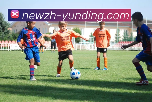 多媒体互动体验